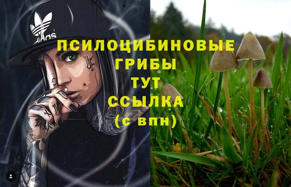 экстази Алексин