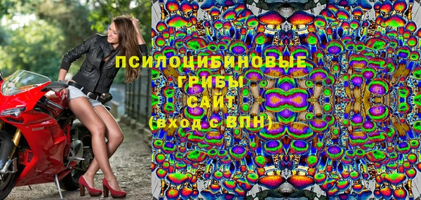 прущие крисы Нефтекумск