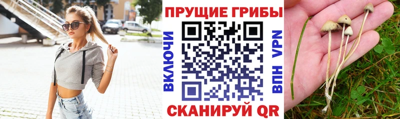 Псилоцибиновые грибы мухоморы  Орск 